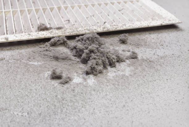 Best Duct Cleaning Specialists  in Belvidere, IL