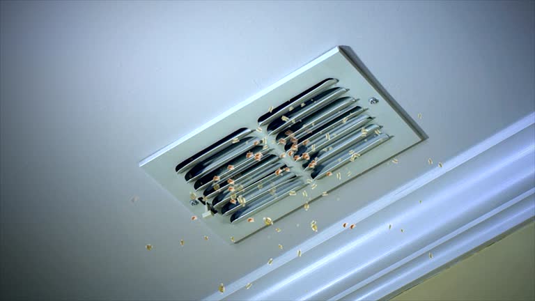 Best HVAC System Cleaning  in Belvidere, IL