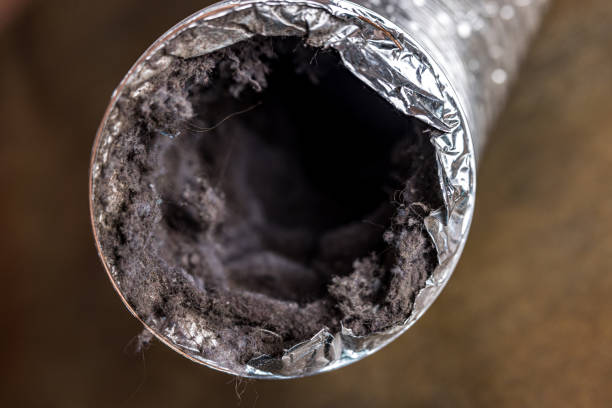 Best Affordable Air Duct Cleaning  in Belvidere, IL