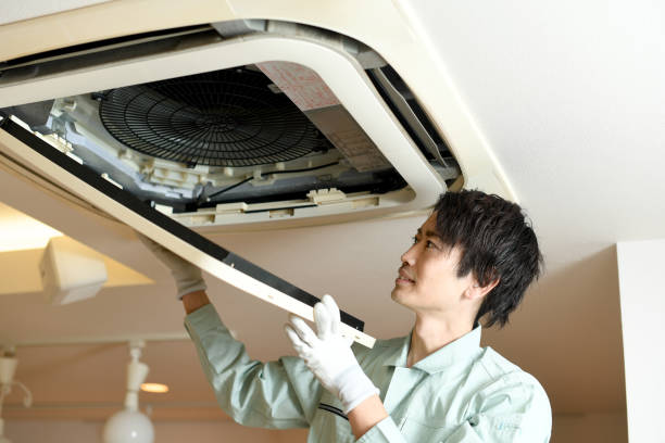 Best Air Duct Inspection  in Belvidere, IL