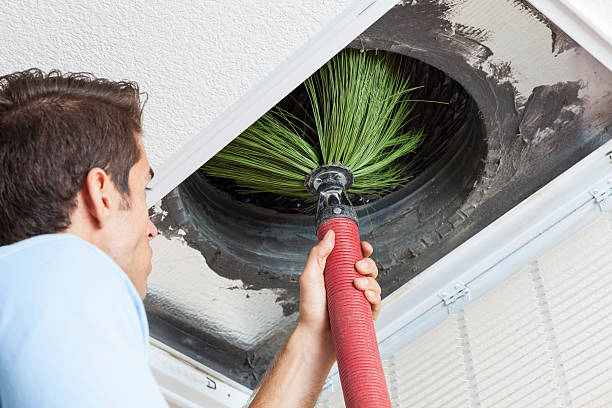 Best Air Duct Cleaning Near Me  in Belvidere, IL